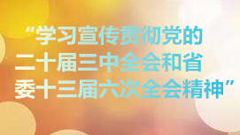 学习宣传贯彻党的二十届三中全会和省委十三届六次全会精神